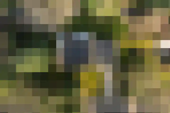 Tooroplaan 6 Weert thumbnail 58