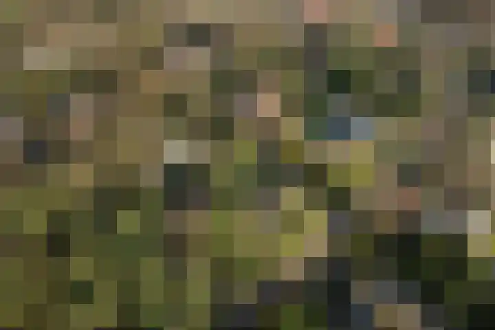 Tooroplaan 6 Weert thumbnail 59
