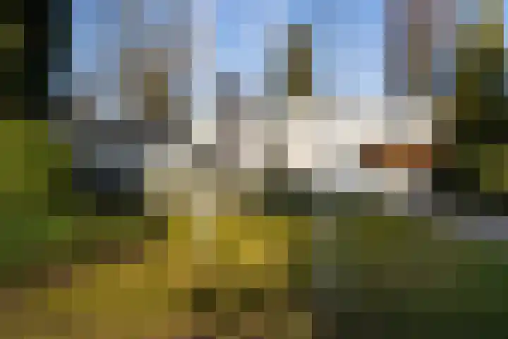 Tooroplaan 6 Weert thumbnail 6