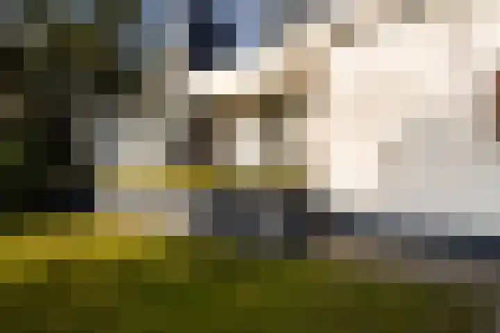 Tooroplaan 6 Weert thumbnail 7