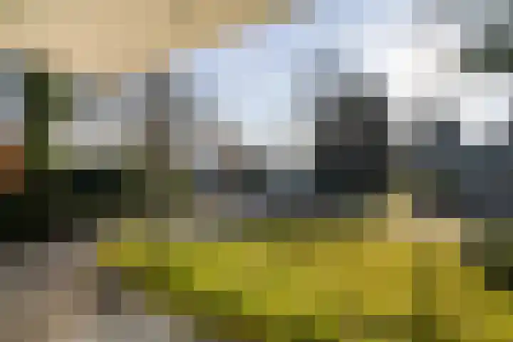 Tooroplaan 6 Weert thumbnail 8