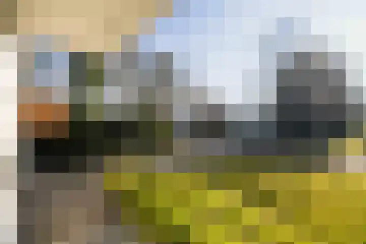 Tooroplaan 6 Weert thumbnail 9