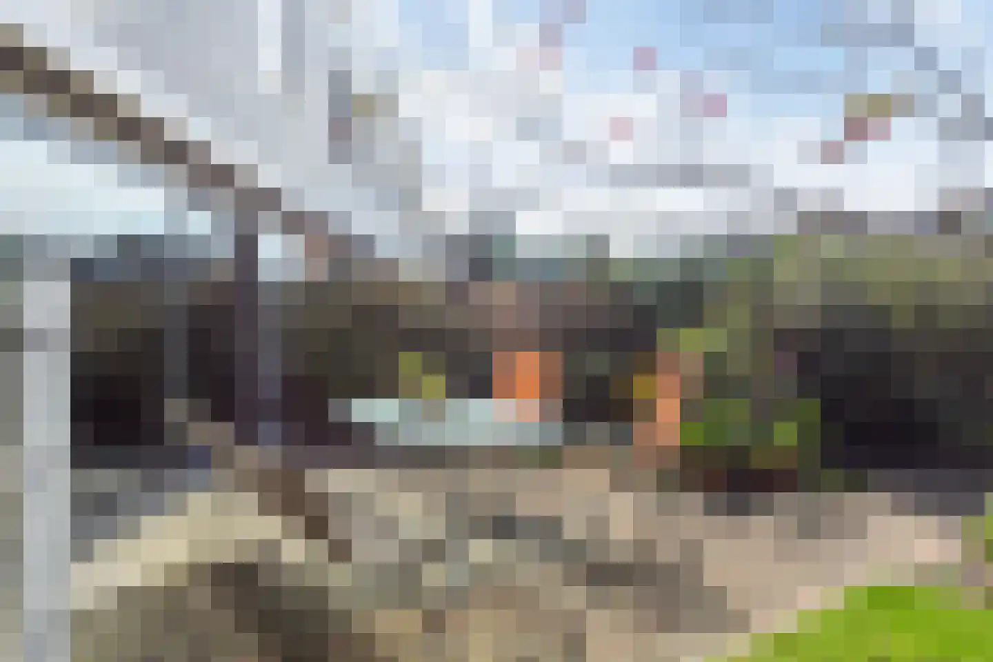 Tooroplaan 61 Maassluis thumbnail 21