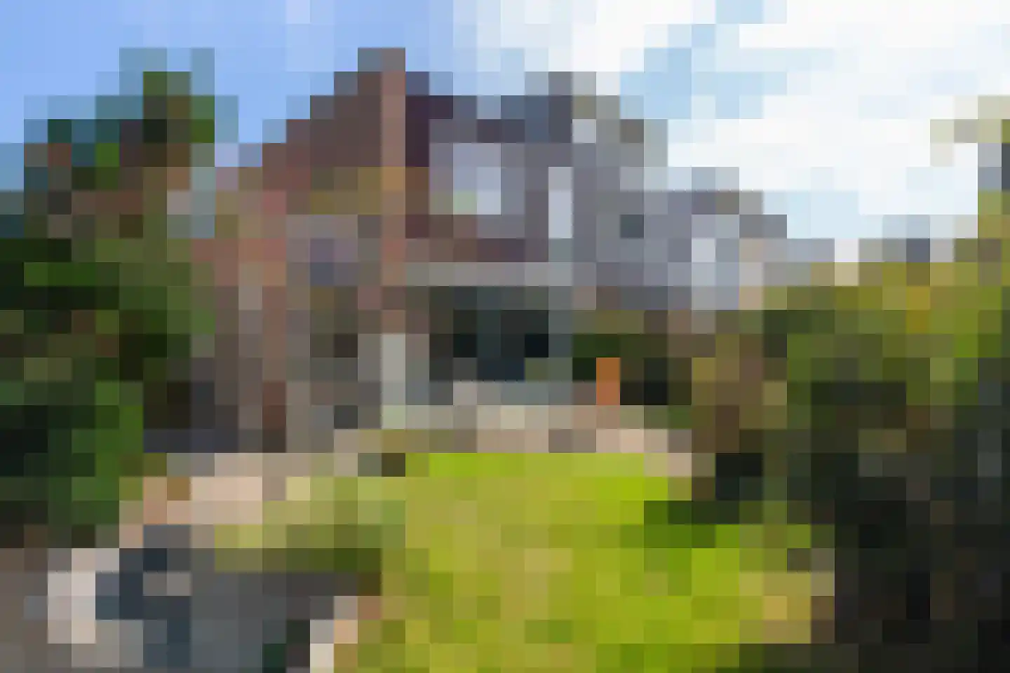 Tooroplaan 61 Maassluis thumbnail 25