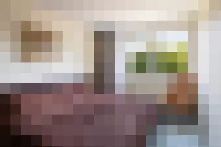Tooroplaan 61 Maassluis thumbnail 35