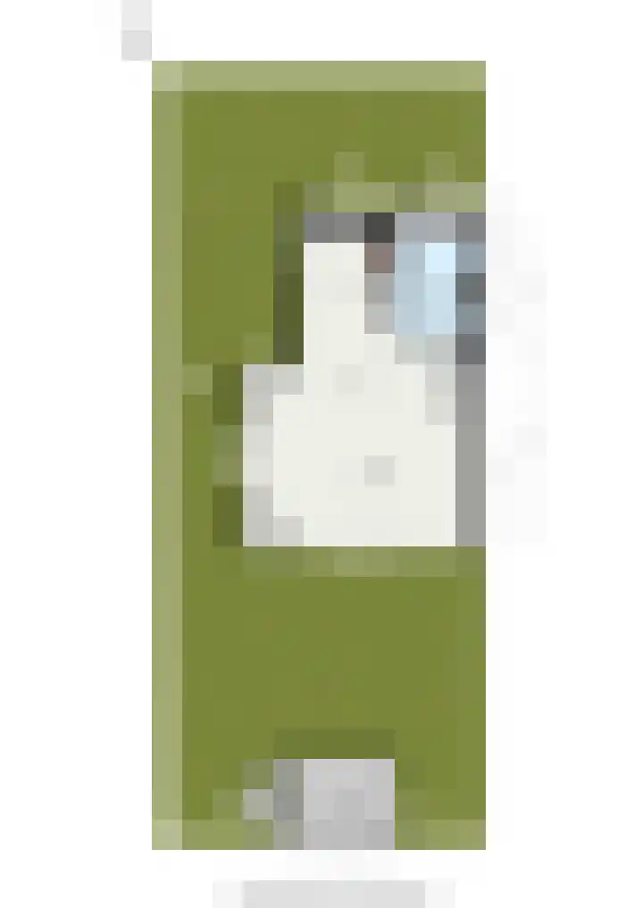 Tooroplaan 61 Maassluis thumbnail 45