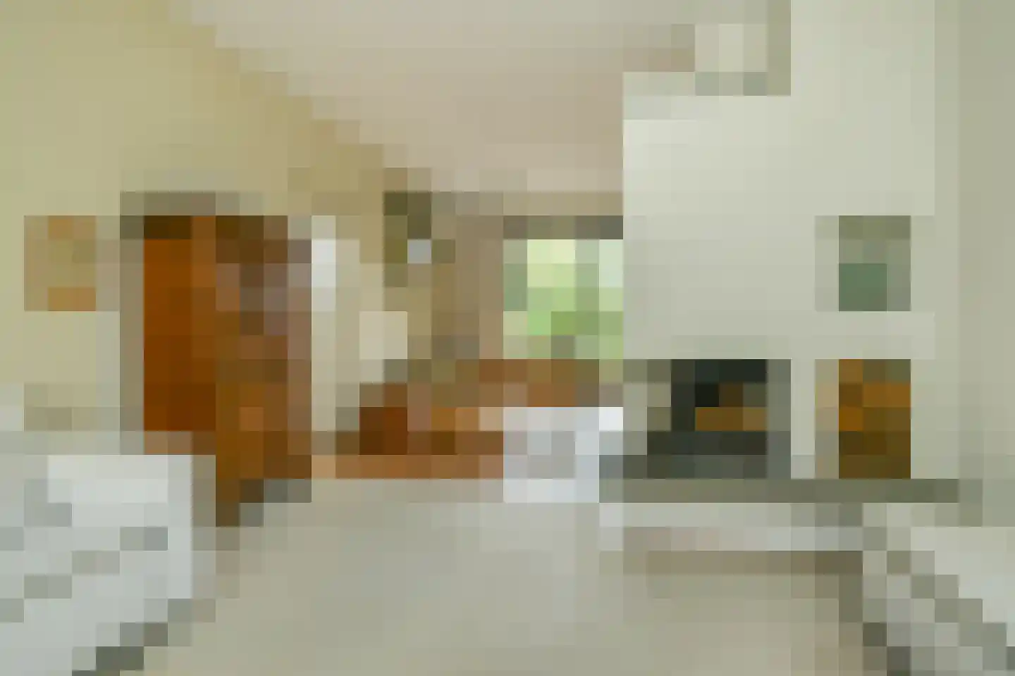Tooropstraat 11 Arnhem thumbnail 20