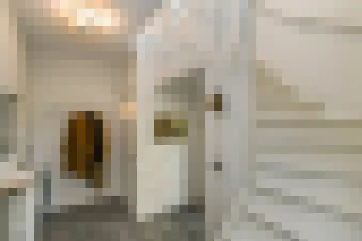 Tooropstraat 11 Arnhem thumbnail 27