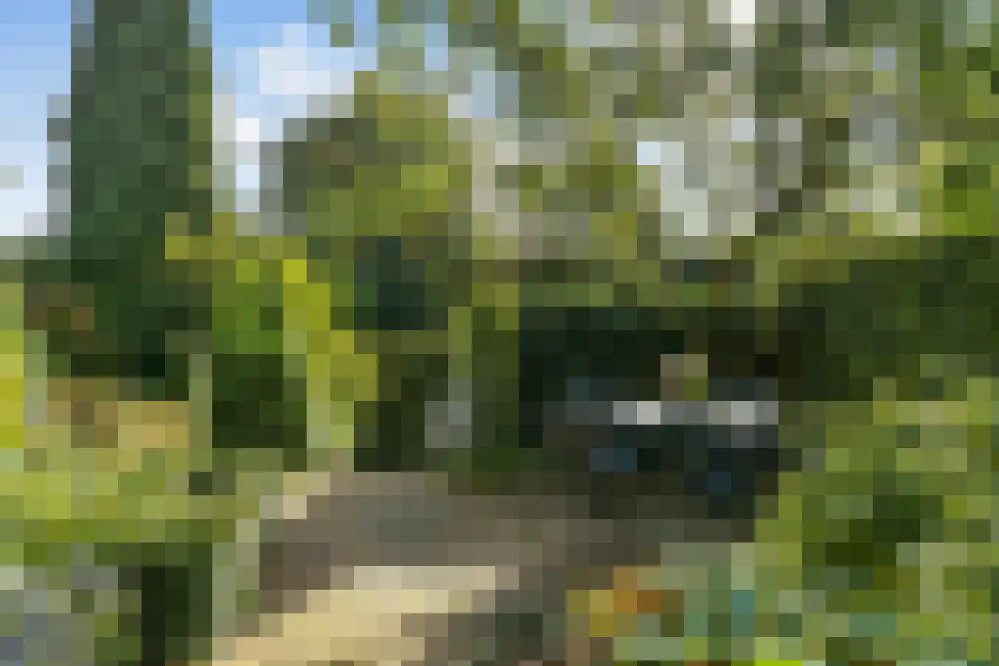 Tooropstraat 11 Arnhem thumbnail 44