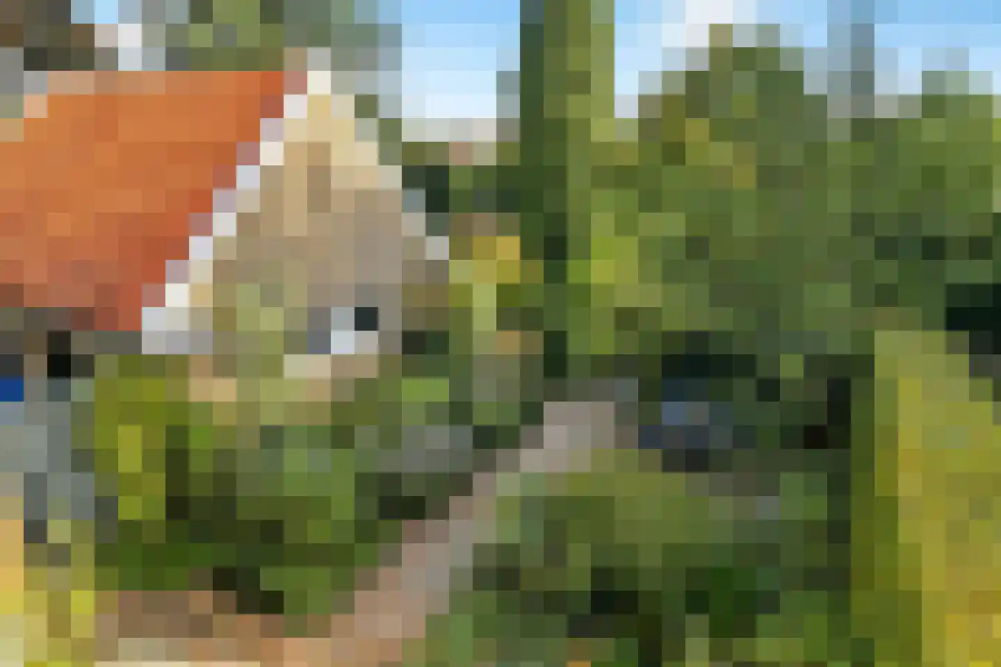 Tooropstraat 11 Arnhem thumbnail 45