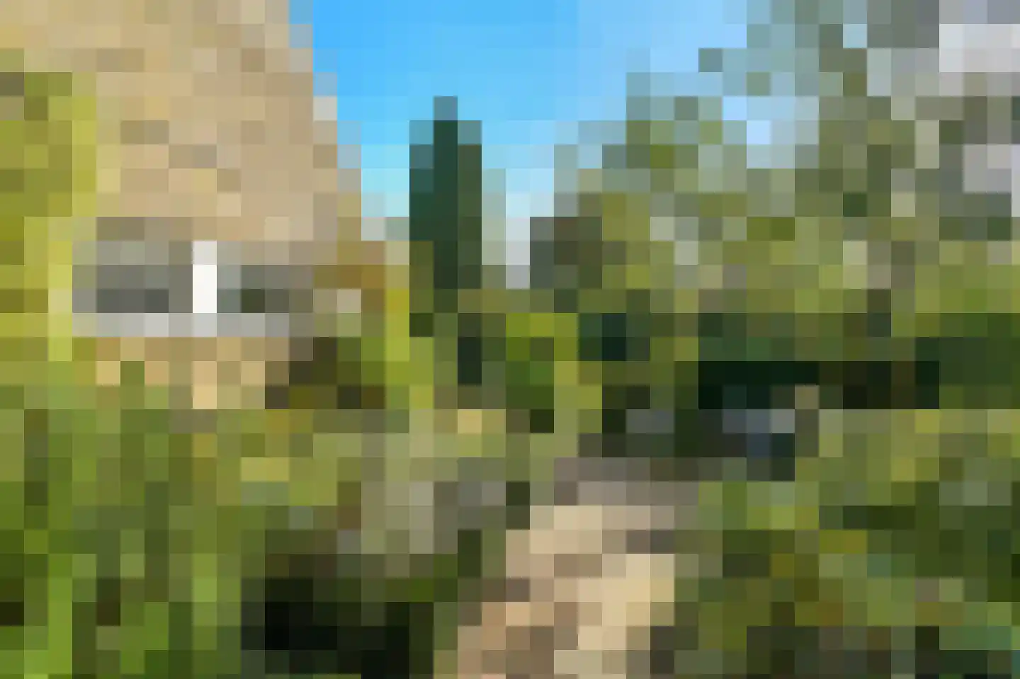 Tooropstraat 11 Arnhem thumbnail 46