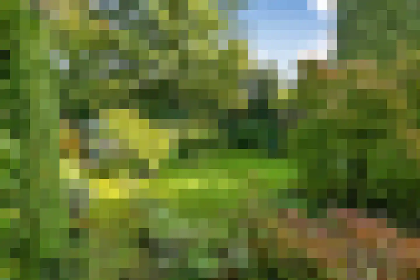 Tooropstraat 11 Arnhem thumbnail 48