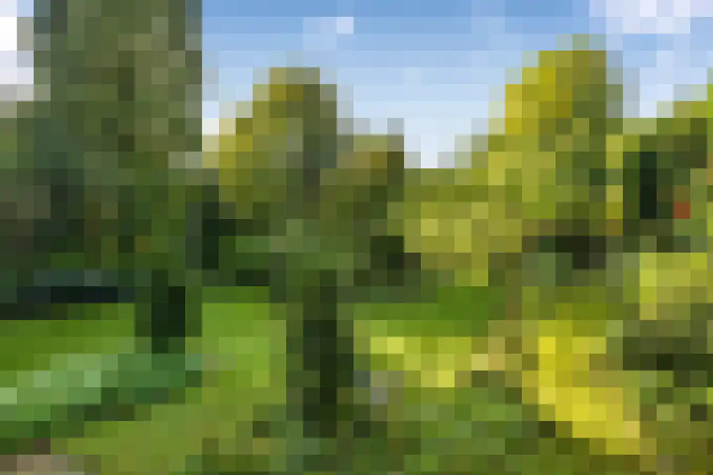 Tooropstraat 11 Arnhem thumbnail 49