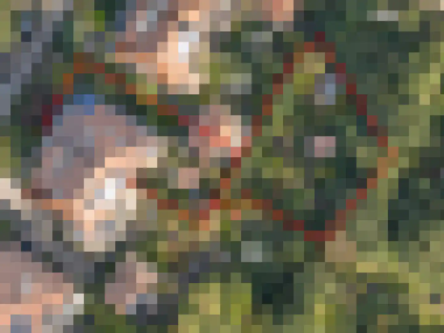 Tooropstraat 11 Arnhem thumbnail 5