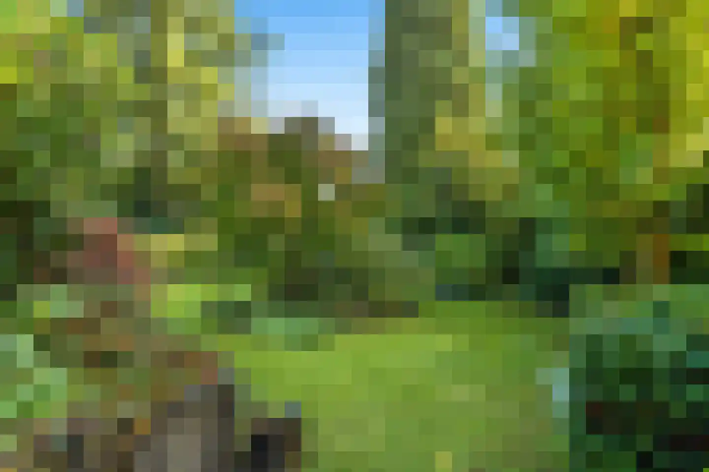 Tooropstraat 11 Arnhem thumbnail 50