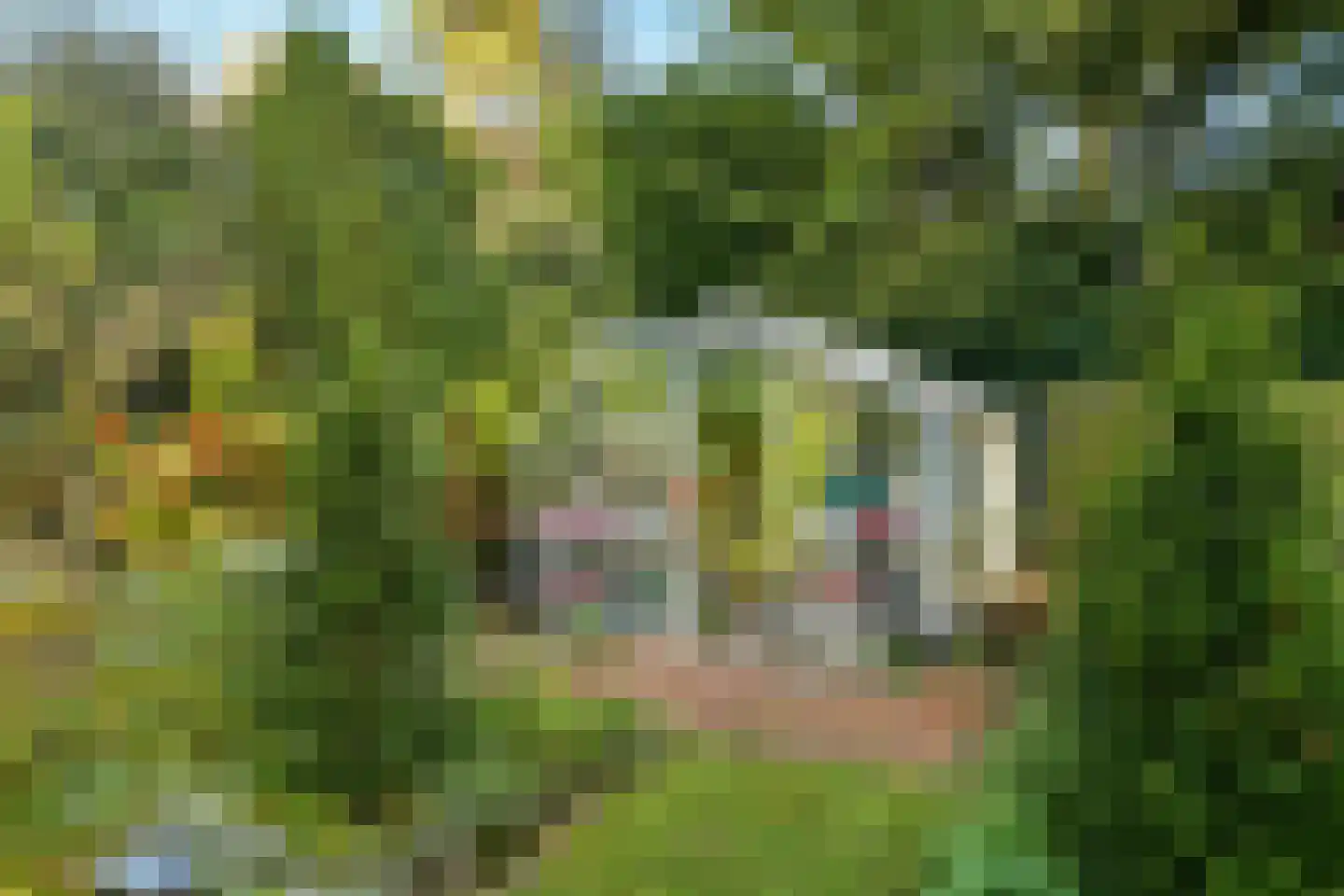 Tooropstraat 11 Arnhem thumbnail 52
