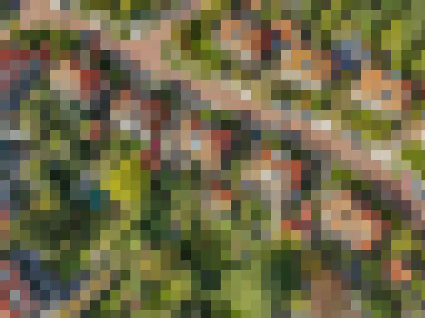 Tooropstraat 11 Arnhem thumbnail 58