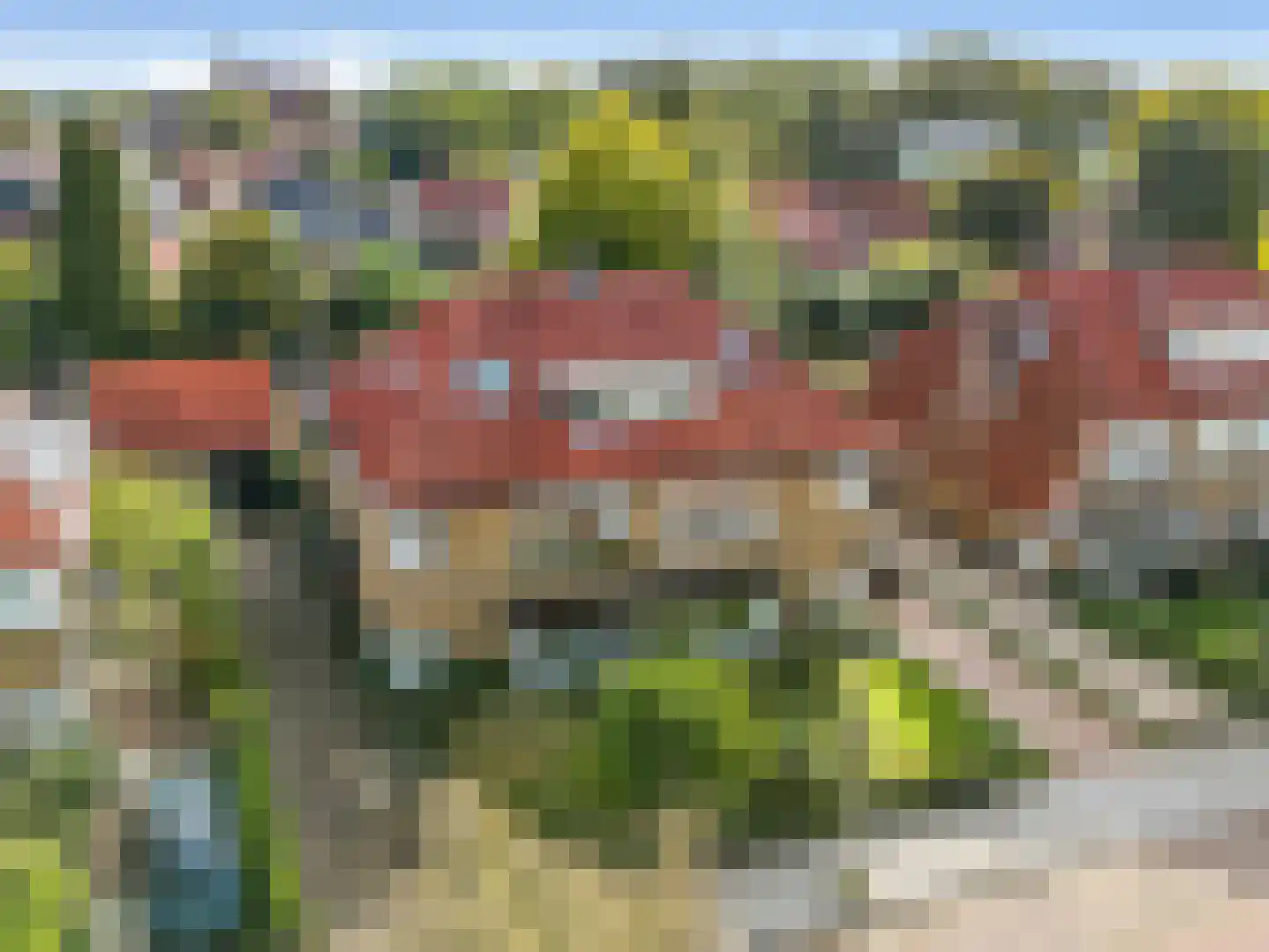 Tooropstraat 11 Arnhem thumbnail 6