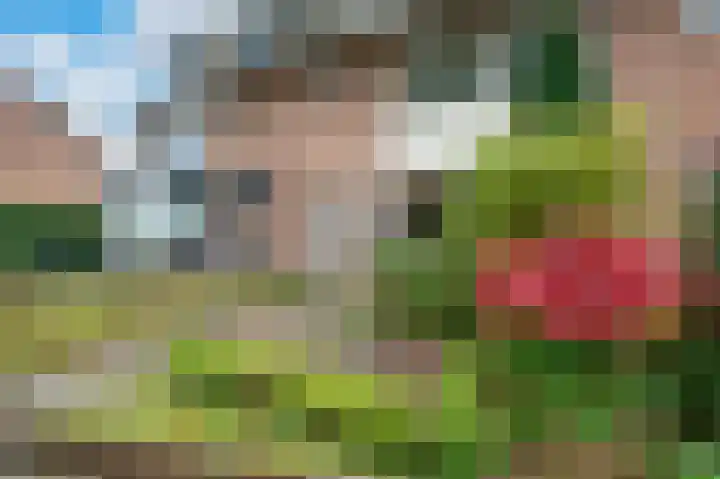 Tooropstraat 13 Apeldoorn thumbnail 27