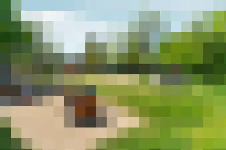 Tooropstraat 133 Nijmegen thumbnail 37