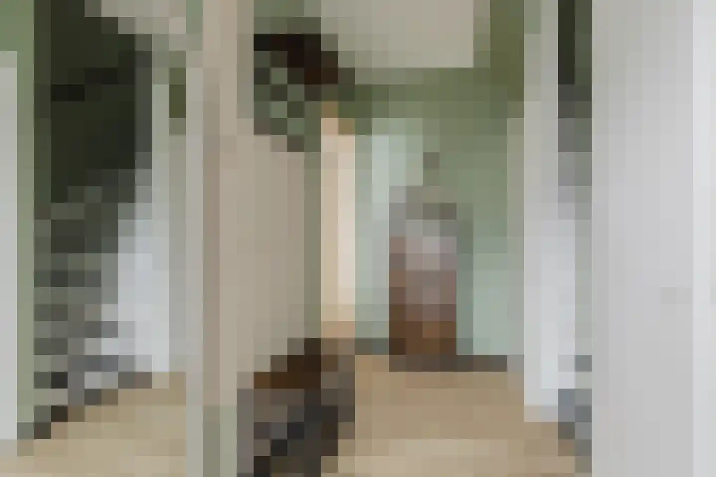 Tooropstraat 19 Sprang-Capelle thumbnail 10