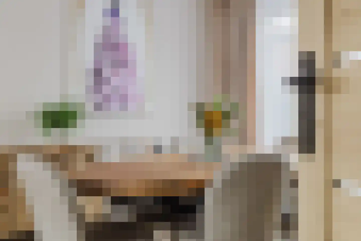 Tooropstraat 19 Sprang-Capelle thumbnail 20