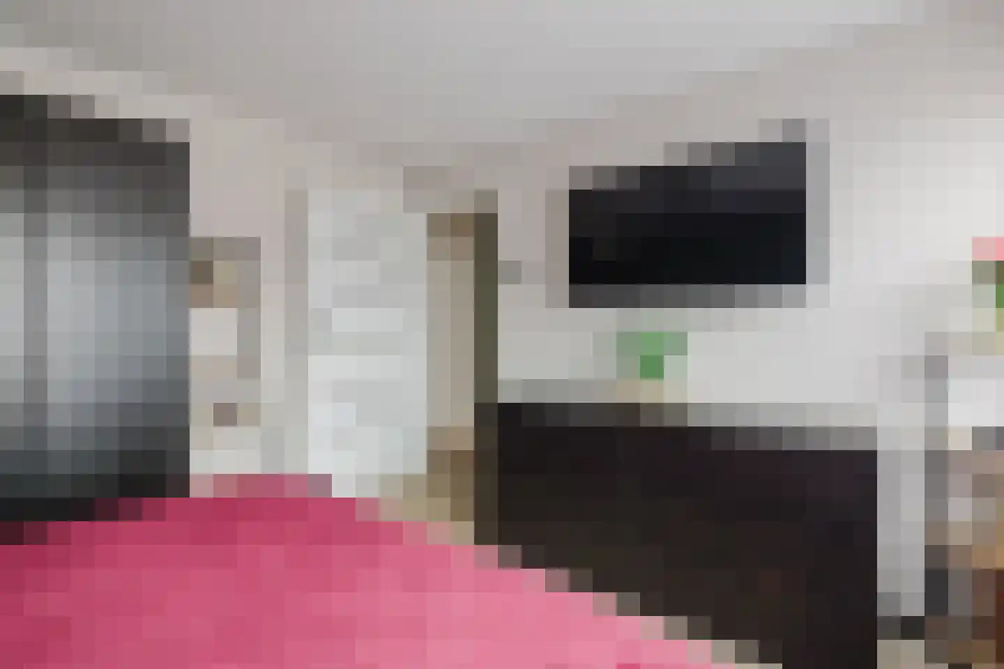 Tooropstraat 19 Sprang-Capelle thumbnail 31