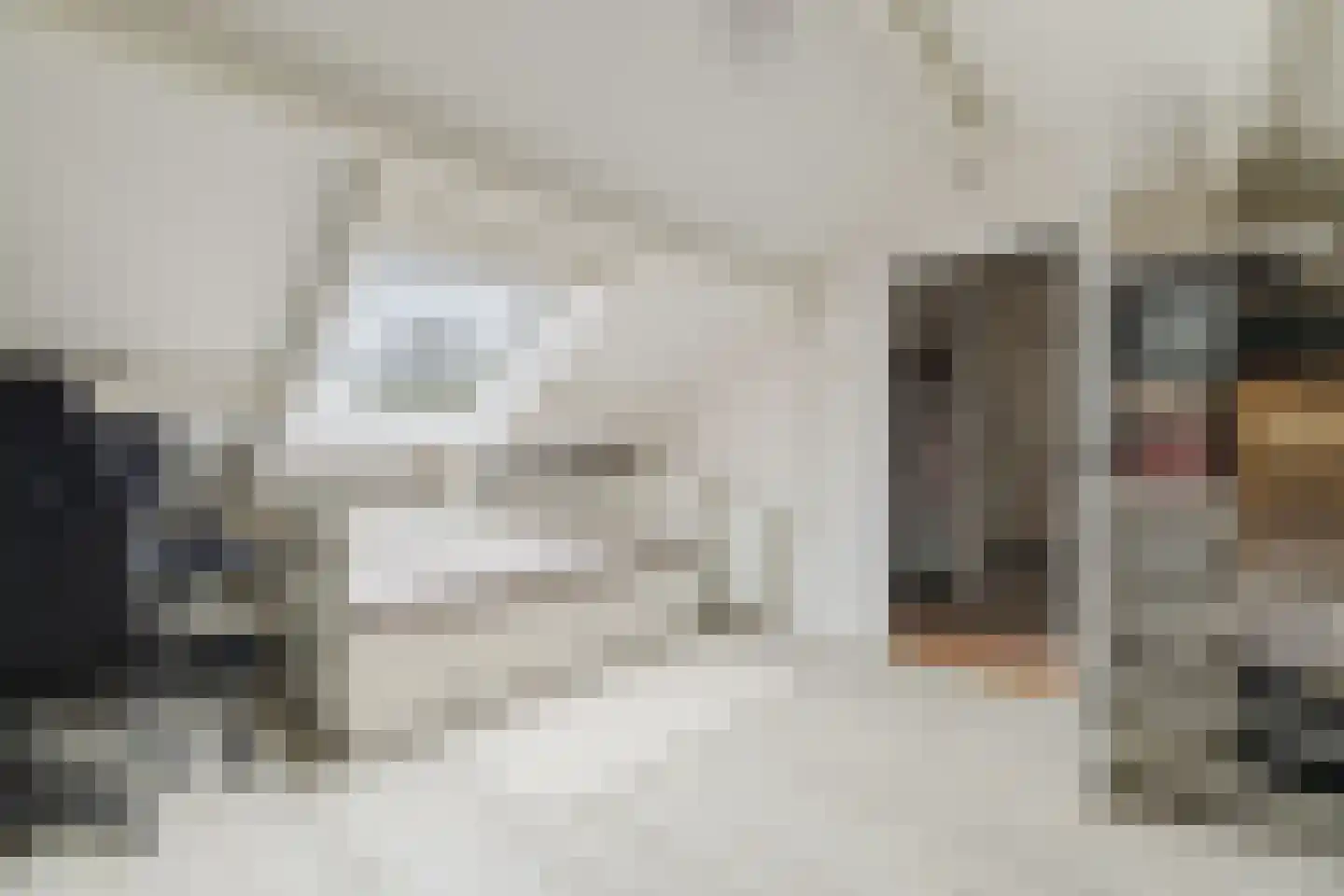Tooropstraat 19 Sprang-Capelle thumbnail 37