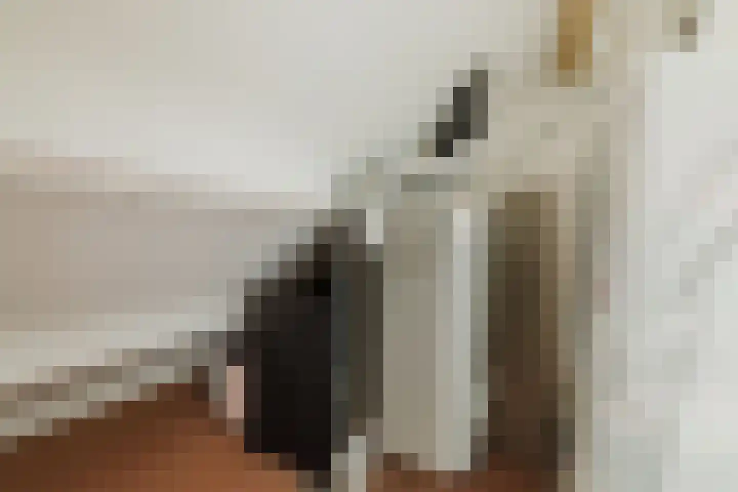 Tooropstraat 19 Sprang-Capelle thumbnail 48
