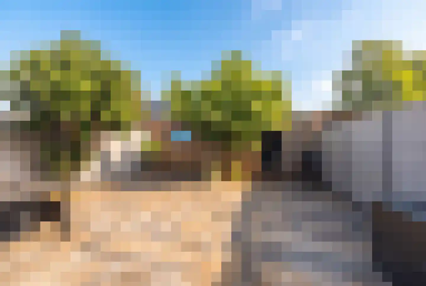 Tooropstraat 19 Sprang-Capelle thumbnail 50