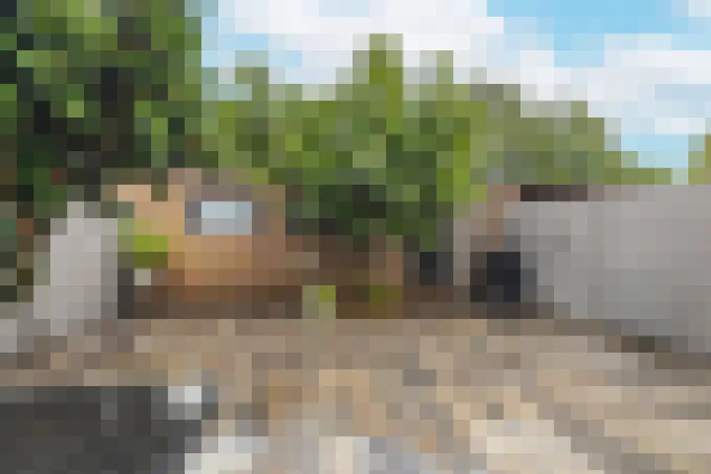 Tooropstraat 19 Sprang-Capelle thumbnail 52