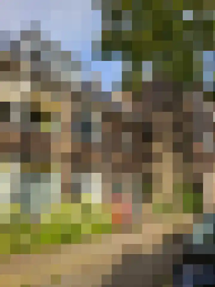 Tooropstraat 195 Nijmegen thumbnail 61