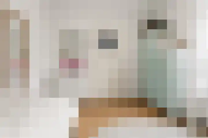 Tooropstraat 201 Nijmegen thumbnail 31
