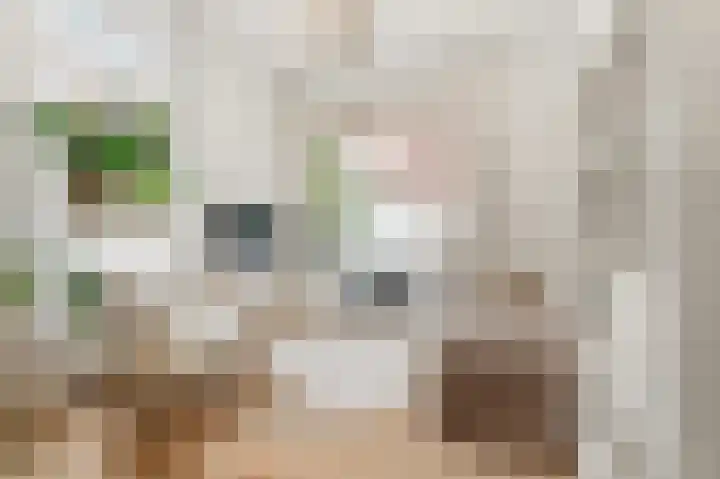 Tooropstraat 201 Nijmegen thumbnail 4