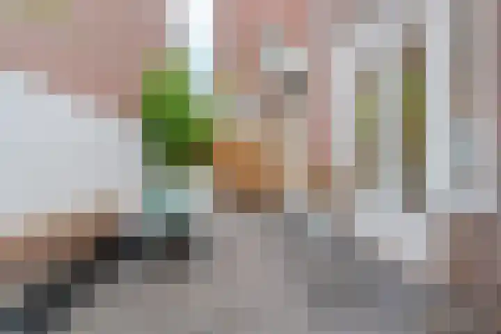 Tooropstraat 201 Nijmegen thumbnail 6