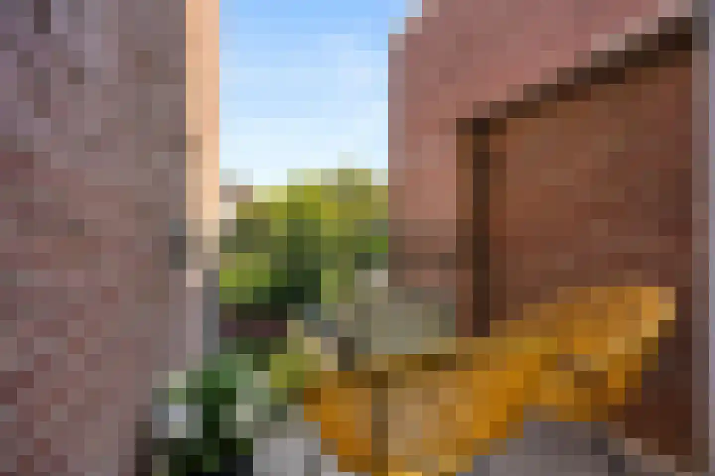 Tooropstraat 205 Nijmegen thumbnail 16