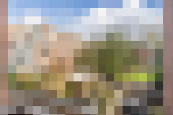 Tooropstraat 213 A Nijmegen thumbnail 20