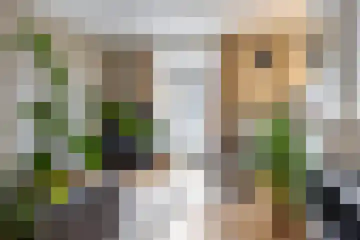 Tooropstraat 213 A Nijmegen thumbnail 4