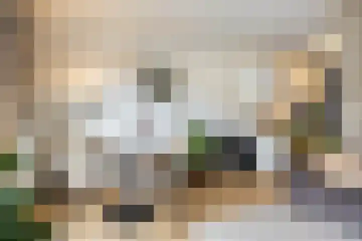 Tooropstraat 213 A Nijmegen thumbnail 9