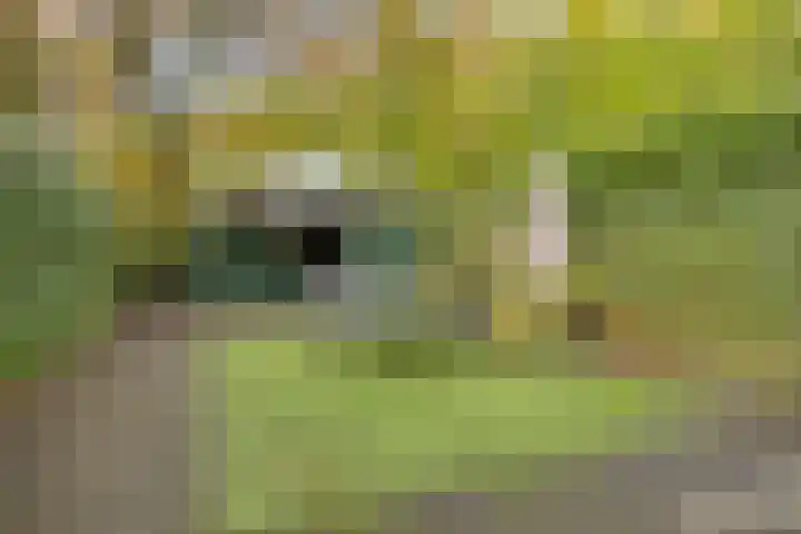 Tooropstraat 24 Apeldoorn thumbnail 33