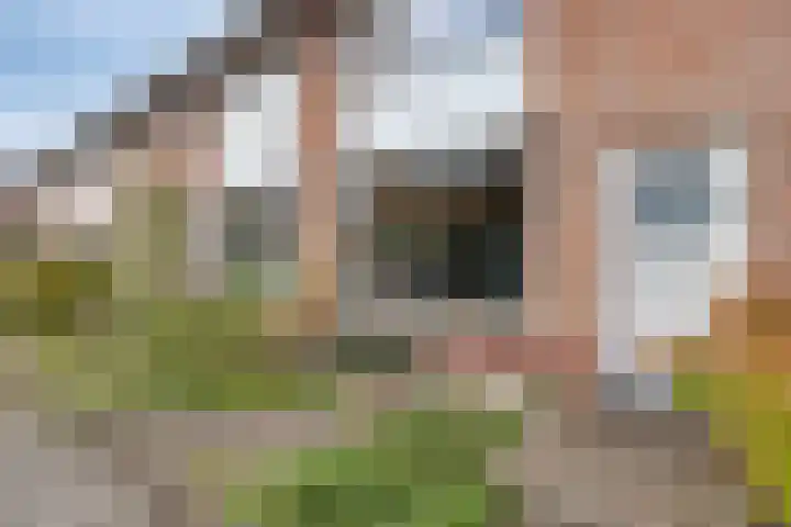 Tooropstraat 24 Apeldoorn thumbnail 36