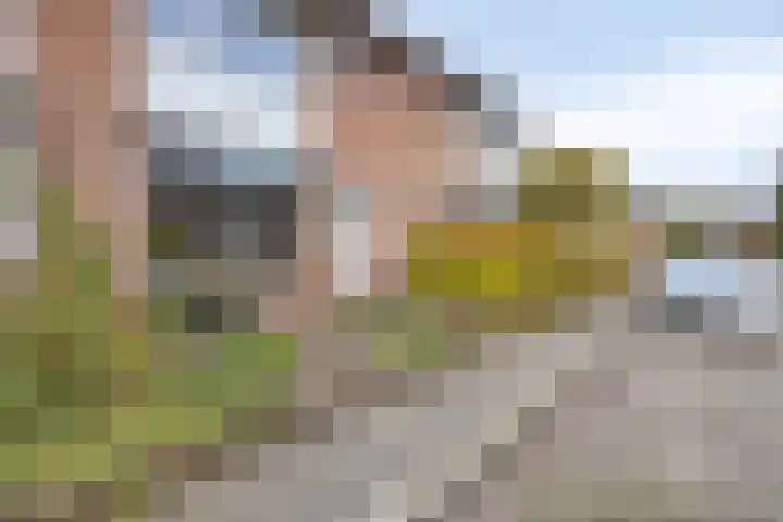 Tooropstraat 24 Apeldoorn thumbnail 37