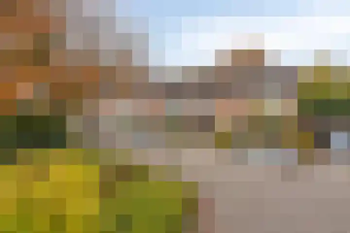 Tooropstraat 24 Apeldoorn thumbnail 43