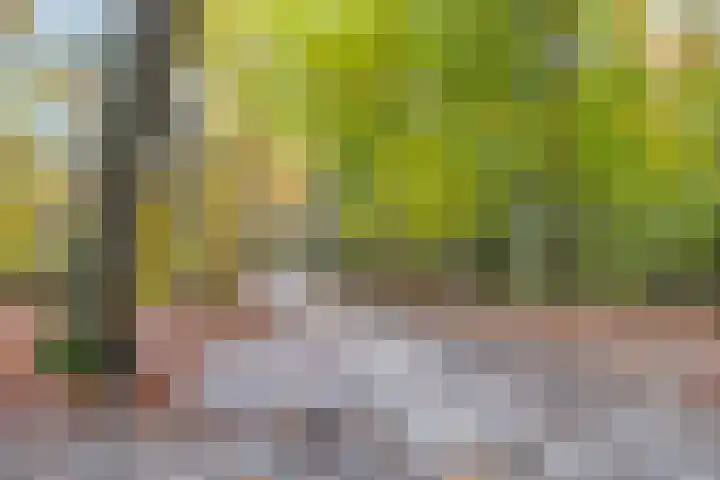 Tooropstraat 24 Apeldoorn thumbnail 45