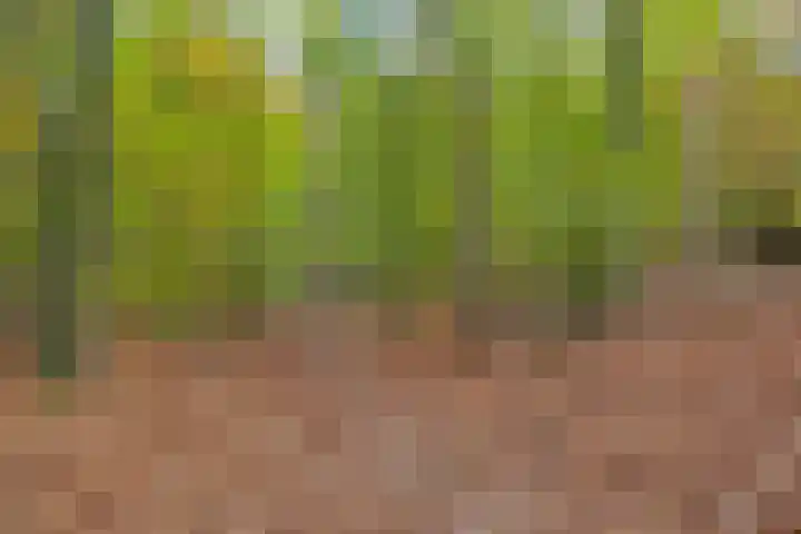 Tooropstraat 24 Apeldoorn thumbnail 46