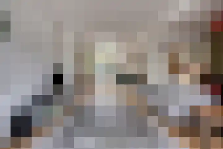 Tooropstraat 24 Apeldoorn thumbnail 8