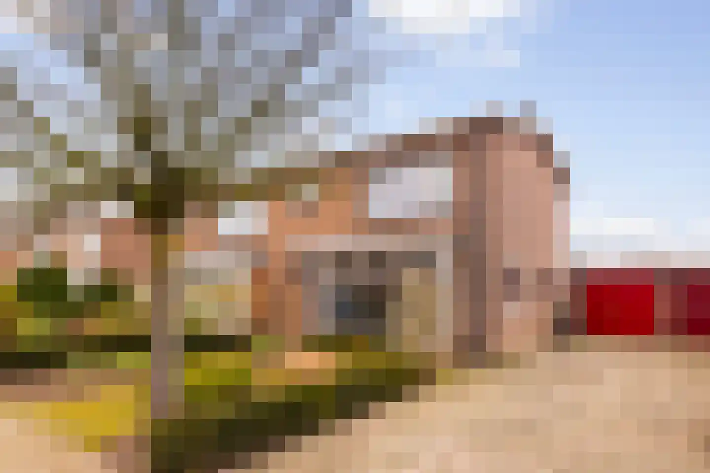 Tooropstraat 26 dans Zevenaar