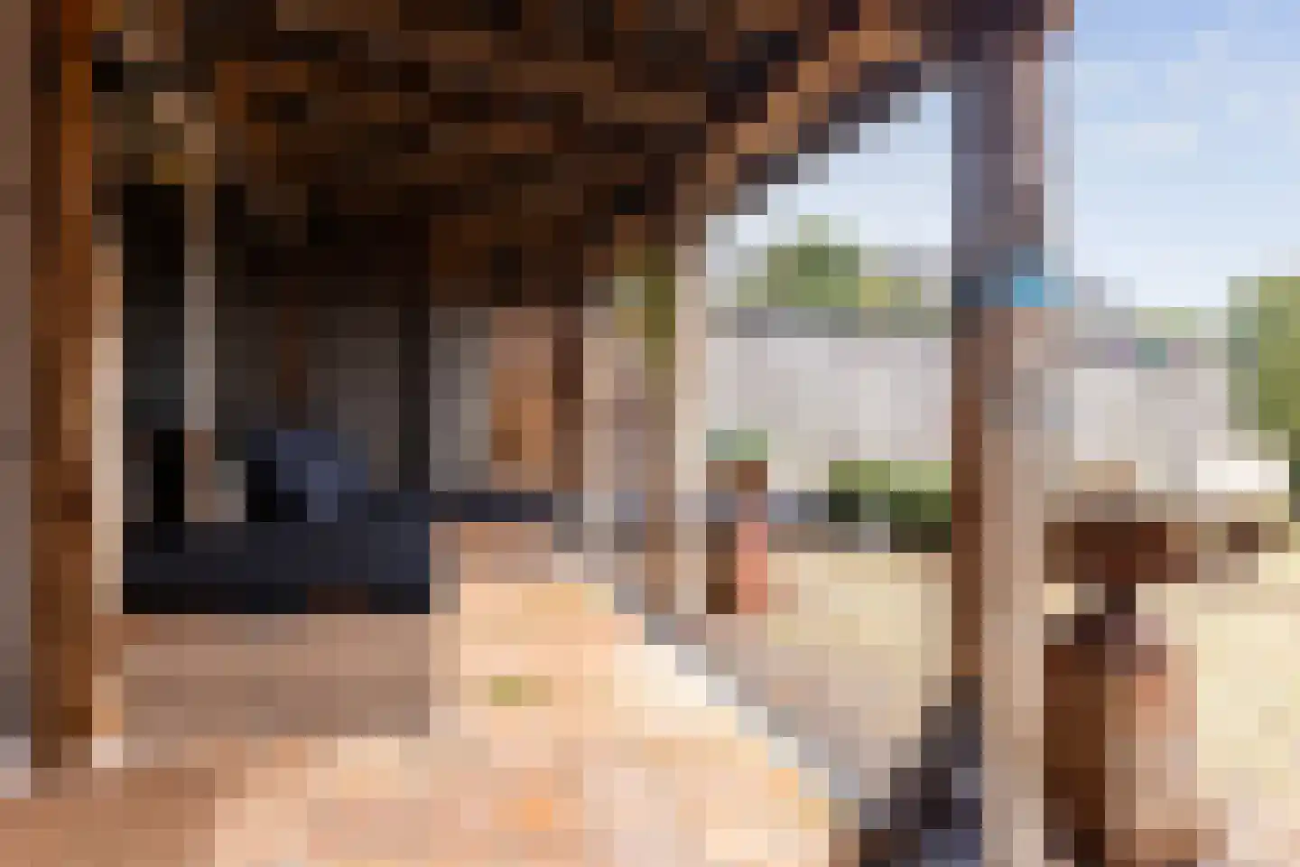 Tooropstraat 26 Zevenaar thumbnail 23