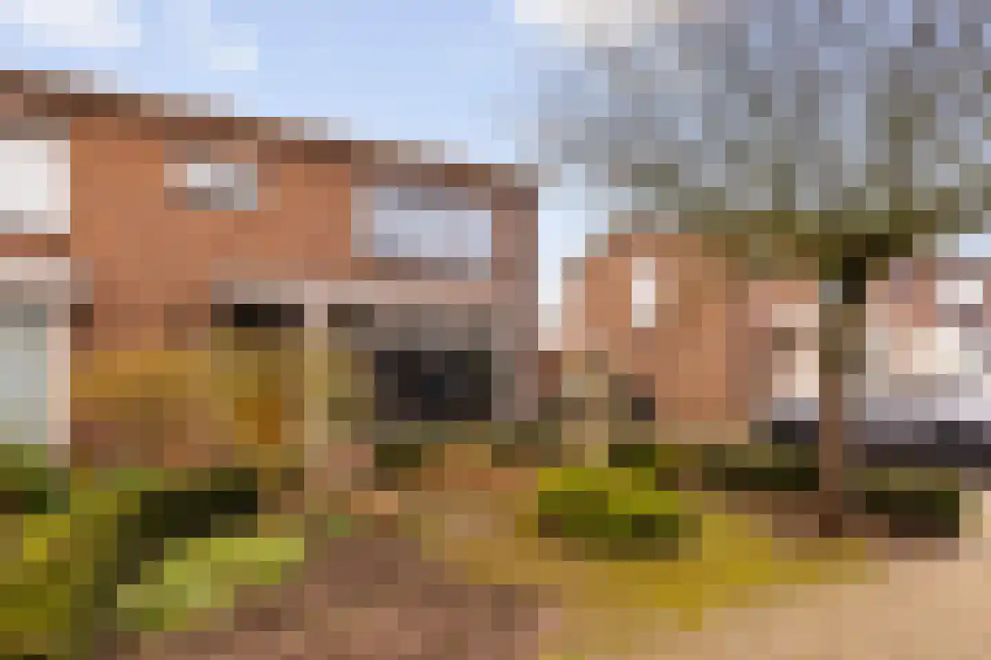 Tooropstraat 26 Zevenaar thumbnail 5