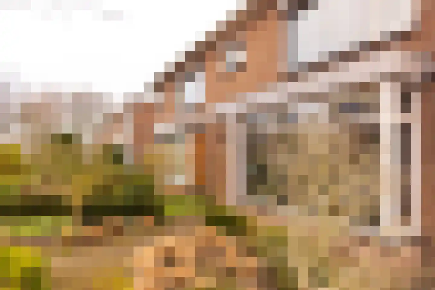 Tooropstraat 26 Zevenaar thumbnail 6